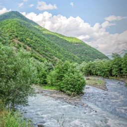 The White and Black Aragvi Rivers